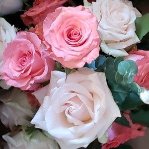 Meet your Posher, Madeline